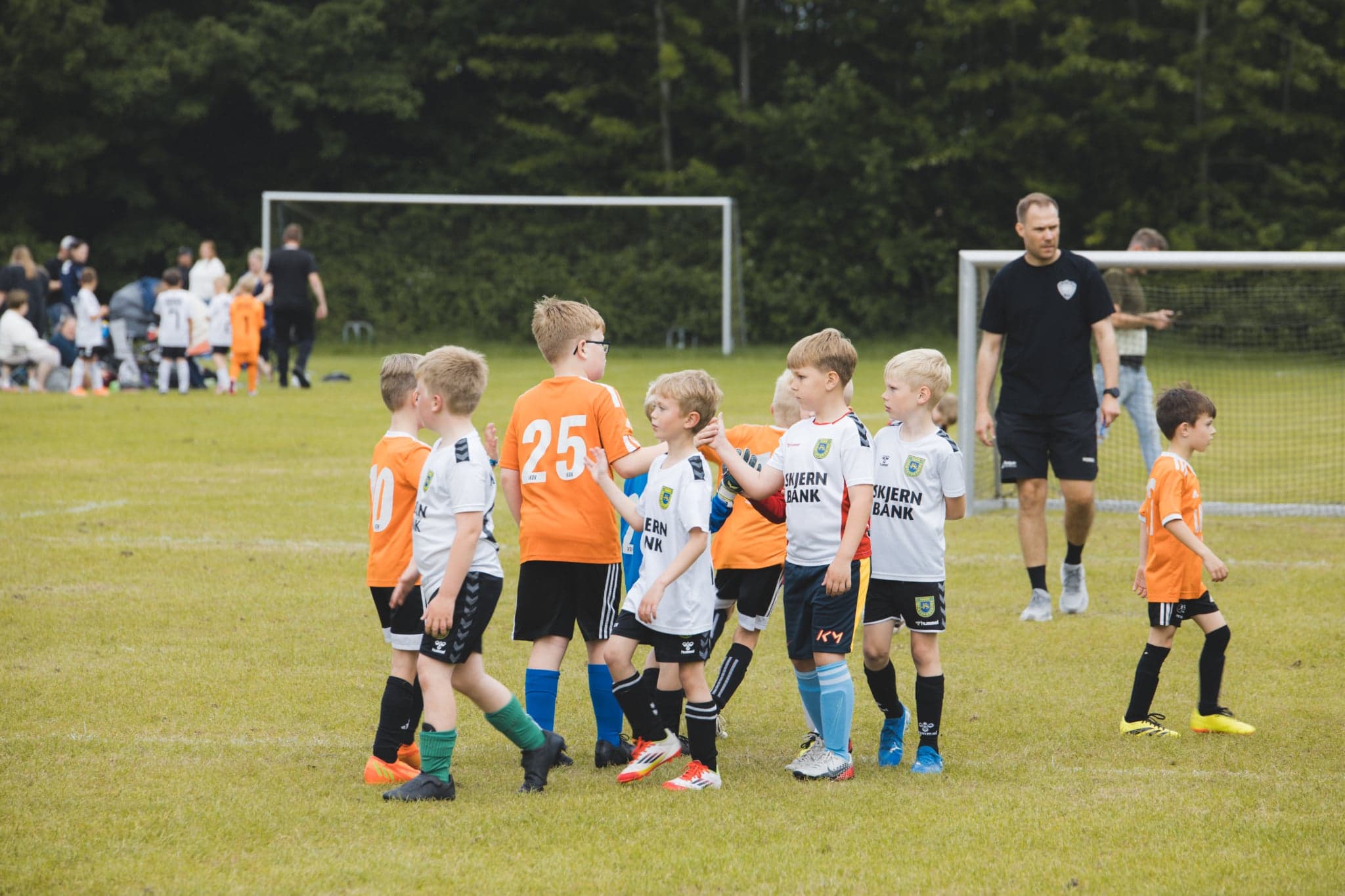 Vejen Cup Background